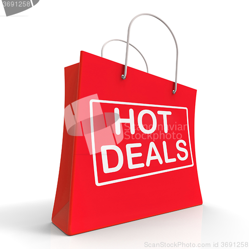 Image of Hot Deals On Shopping Bags Shows Bargains Sale And Save