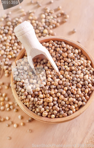 Image of coriander