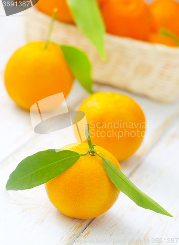 Image of mandarins