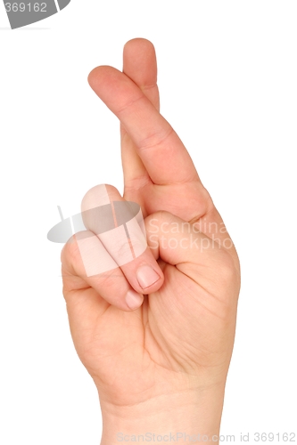 Image of Crossed Fingers