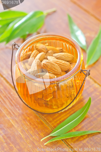 Image of almond