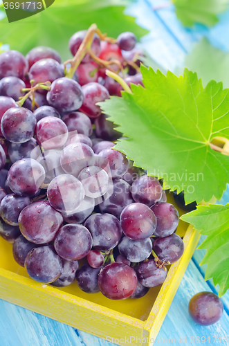 Image of grape