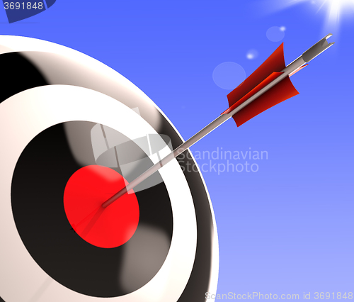 Image of Bulls eye Target Shows Excellence And Skill