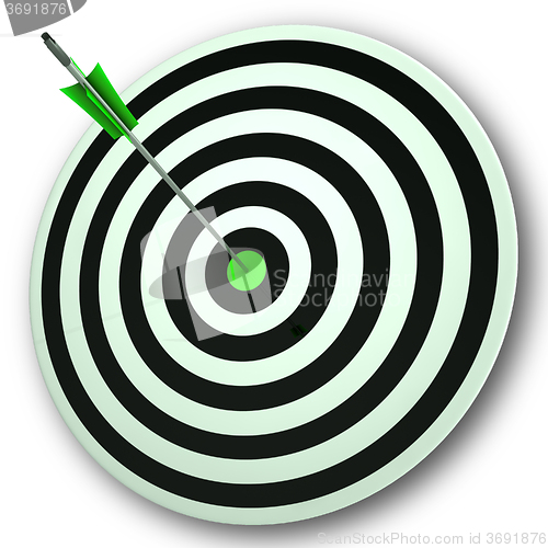Image of Bulls eye Target Shows Perfect Accuracy And Focus