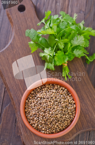 Image of coriander