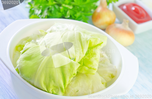 Image of cabbage leaf with meat