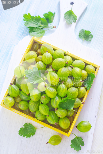 Image of gooseberry