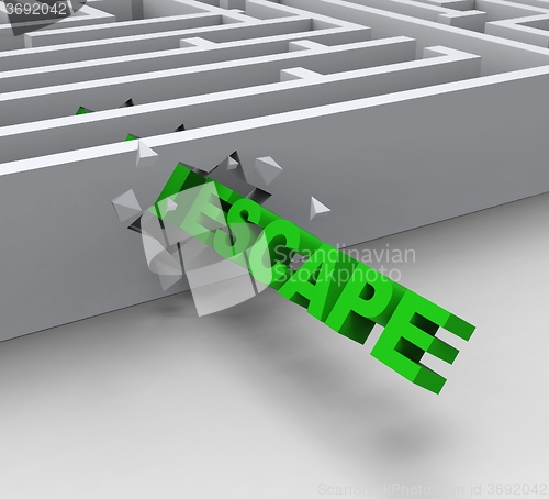 Image of Escape From Maze Shows Liberated