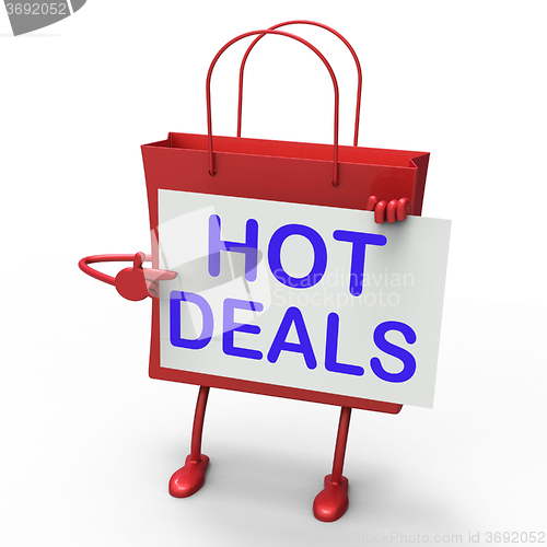 Image of Hot Deals Bag Shows Discounts and Bargains