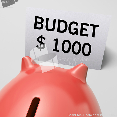 Image of One Thousand dollars, usd Budget Shows Limitations