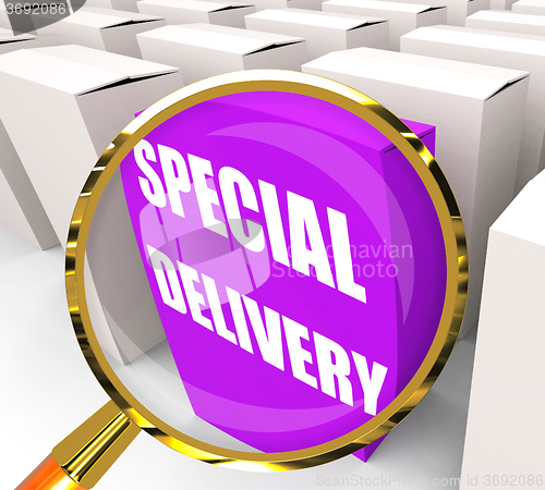 Image of Special Delivery Packet Shows Secure and Important Shipping