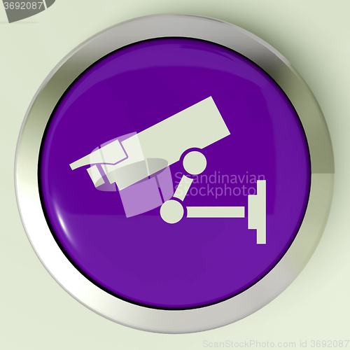 Image of Camera Button Shows CCTV and Web Security