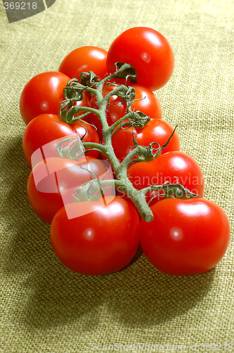 Image of red cherry tomatoes on the vine