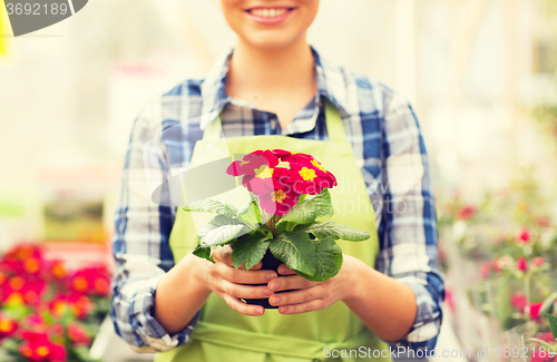 Image of close up of woman holding flowers in greenhouse