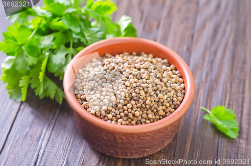 Image of coriander