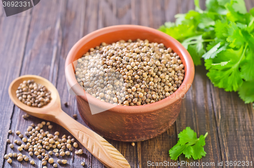 Image of coriander