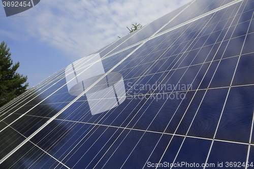 Image of Photovoltaic modules in front