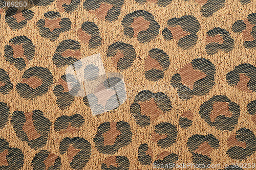 Image of Leopard pattern