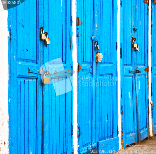 Image of in africa morocco  old harbor wood   door and the blue sky