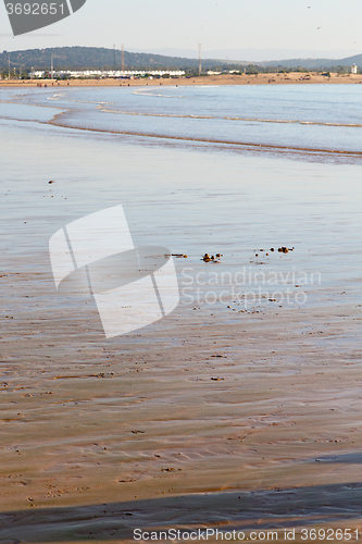 Image of abstract in morocco  africa ocean wave and  bird