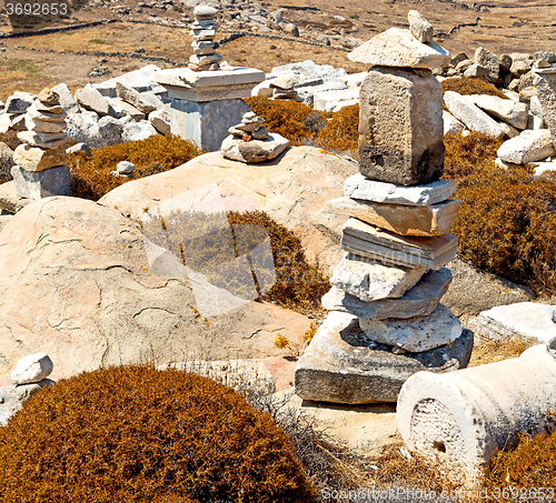 Image of bush   in delos greece the historycal acropolis and old ruin sit