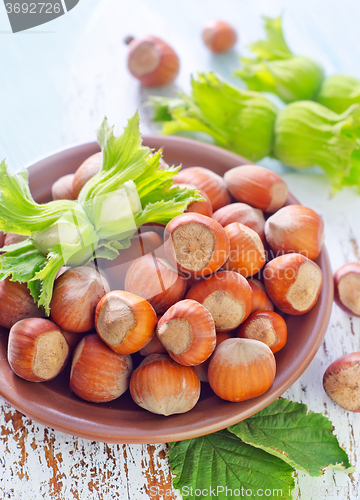 Image of hazelnuts