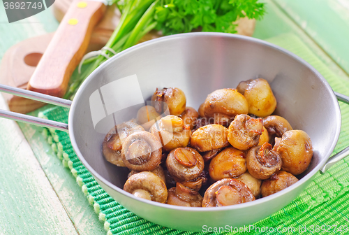Image of mushrooms