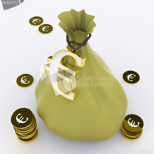 Image of Euro Bag Means European Wealth And Money