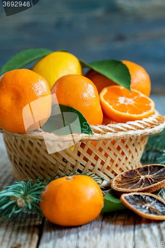 Image of Tangerines and lemons in the basket.
