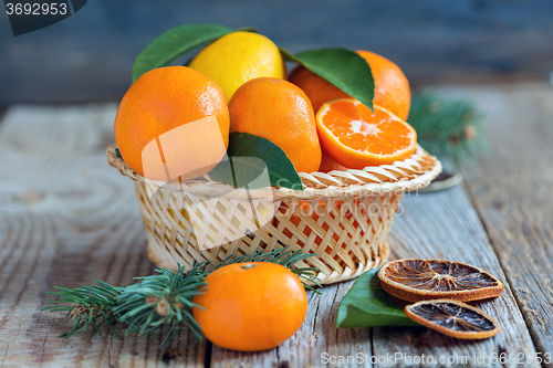 Image of Basket with citrus and spruce branches.