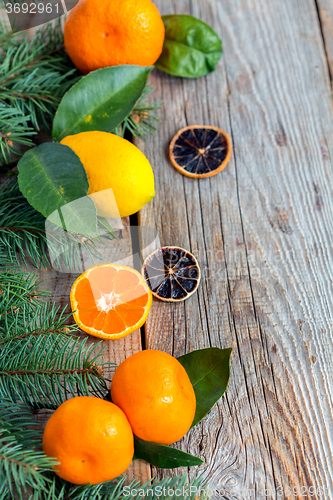 Image of Citrus and spruce branches.