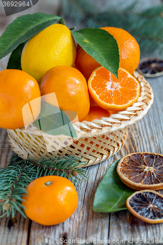 Image of Basket with citrus and spruce branches.