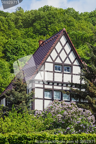 Image of House on the Hillside