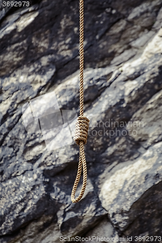 Image of Noose