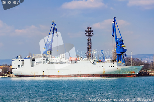 Image of Livestock Carrier Ship