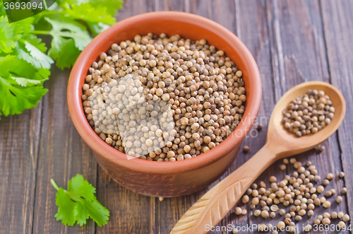 Image of coriander