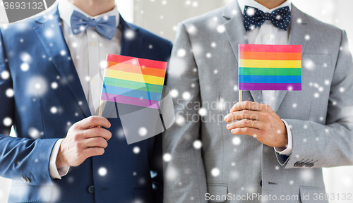 Image of close up of male gay couple holding rainbow flags