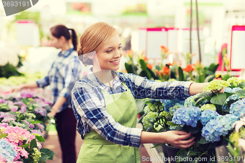 Image of happy woman taking care of flowers in greenhouse