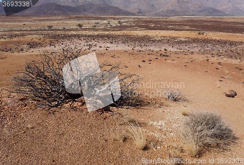 Image of fantrastic Namibia desert landscape