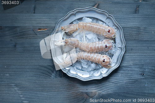 Image of Cobs fresh sea lying on a bed of ice