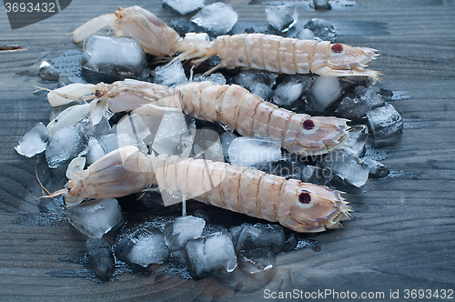 Image of 
Fresh mullet lying on a bed of ice