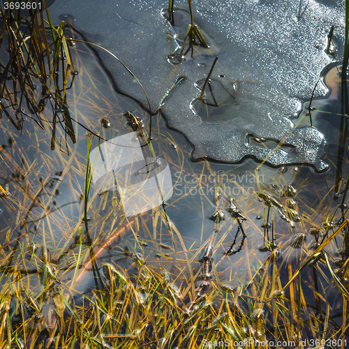 Image of Melting ice on a pond in spring