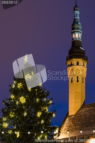 Image of Christmas tree and tower of the town hall in Tallinn