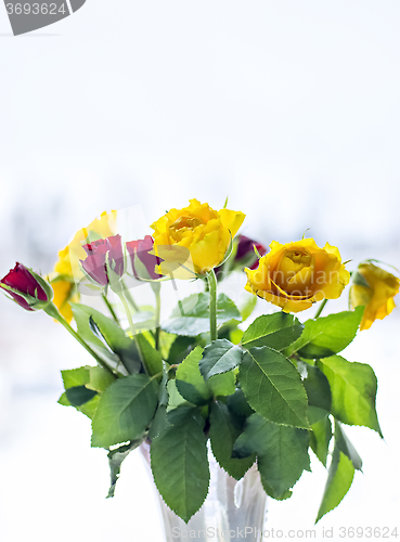 Image of Bouquet of yellow and red roses in vase