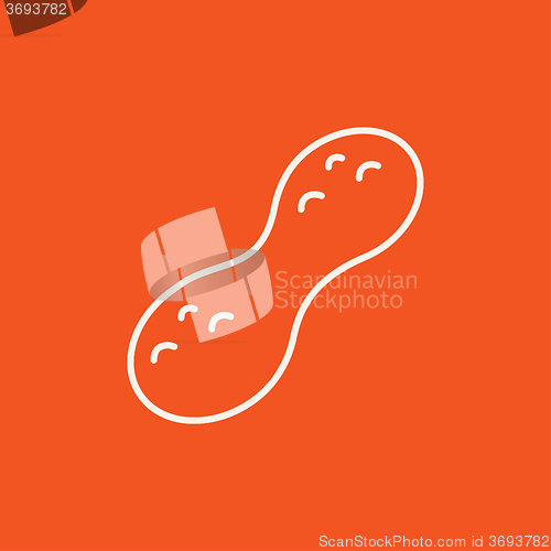 Image of Peanut line icon.