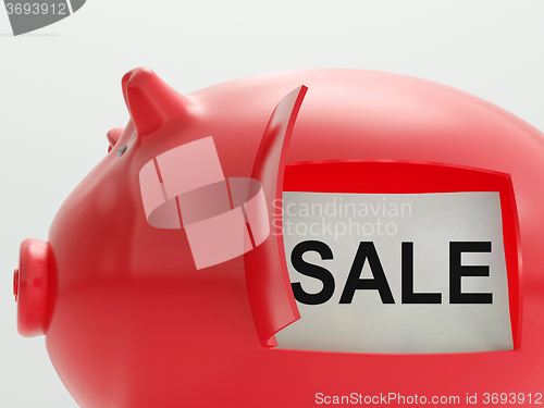 Image of Sale Piggy Bank Shows Reduced Price And Bargains