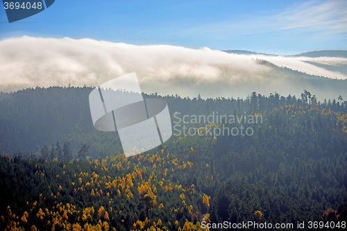 Image of View to the atumnal painted forest of the Vosges, Alsace, France