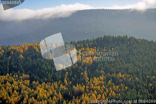 Image of View to the atumnal painted forest of the Vosges, Alsace, France