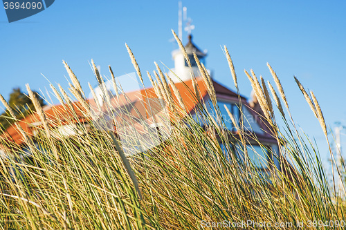 Image of beach grass with old lighthouse