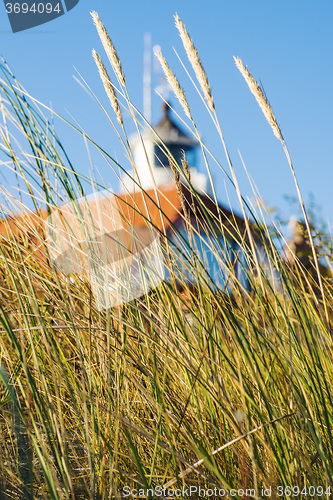 Image of beach grass with old lighthouse